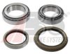  201317 Wheel Bearing Kit